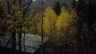 The complete guide to shooting expired film