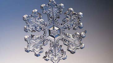 An introduction to microscope photography